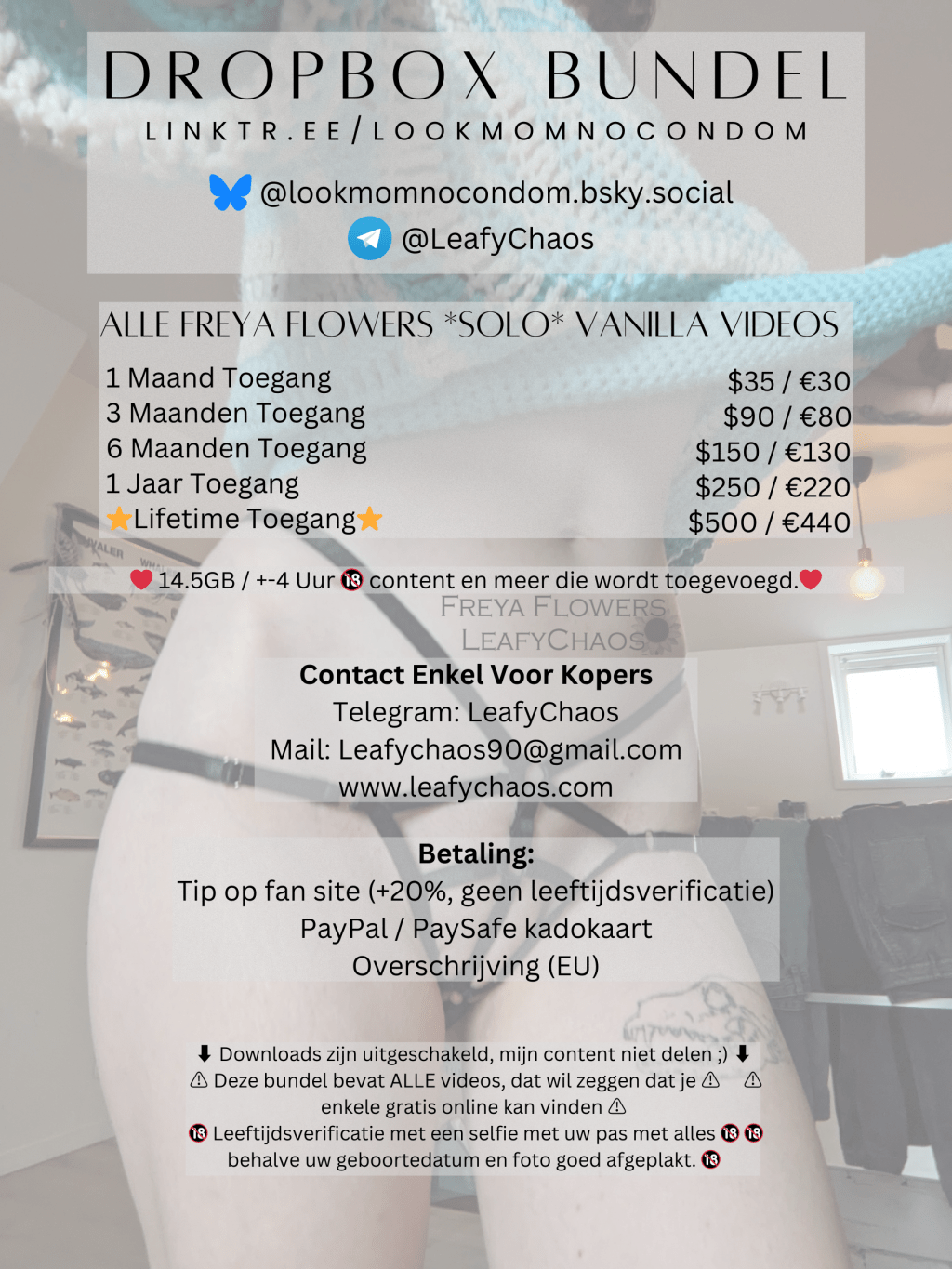 DropBox bundel beschikbaar!