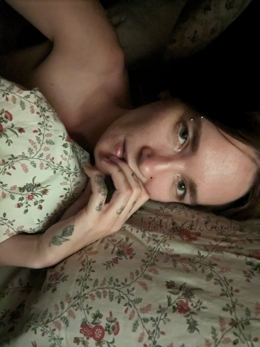 Nieuwe videos toegevoegd aan de Dropbox&nbsp;bundels!